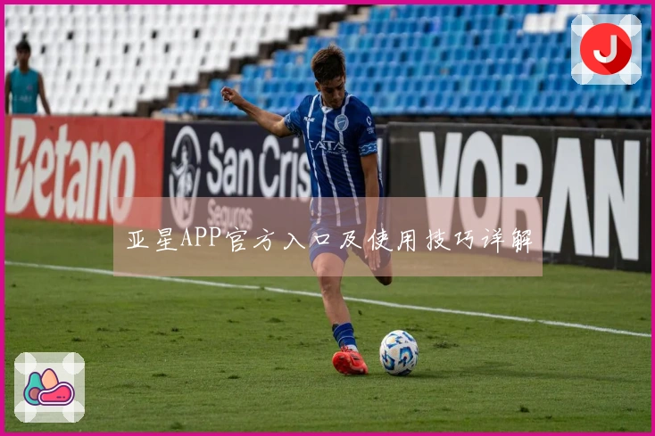 亚星APP官方入口及使用技巧详解